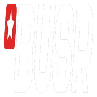 BUSR Casino logo